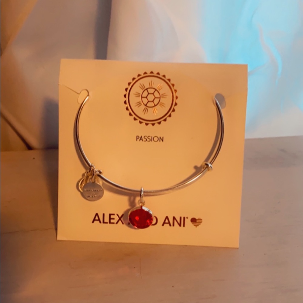Passion alex and ani bracelet